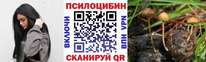 Псилоцибиновые грибы ЛСД  Буинск 