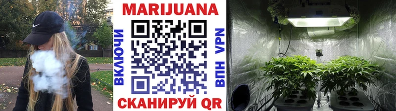 Шишки марихуана SATIVA & INDICA  купить закладку  Буинск 